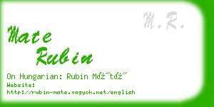 mate rubin business card